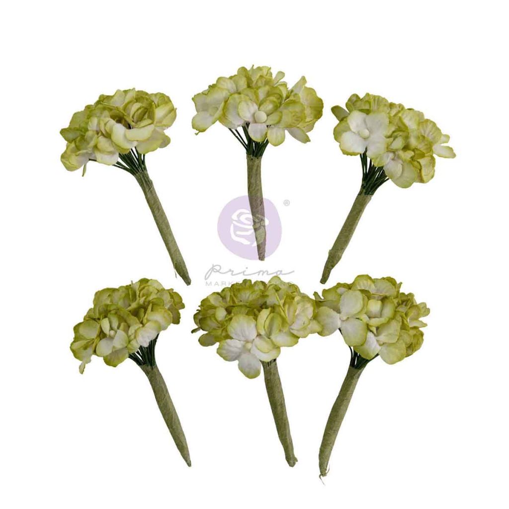 Homegrown Collection Flowers – Garden Hydrangea Mist – 5 pcs