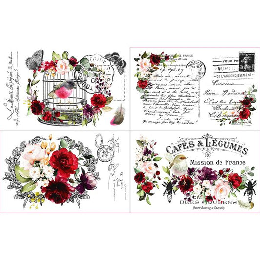 Cage A ‘ Oiseaux – Large Cut Into 4 Sheets