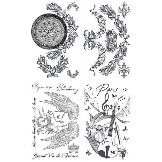 Chardonnay – Large Transfer