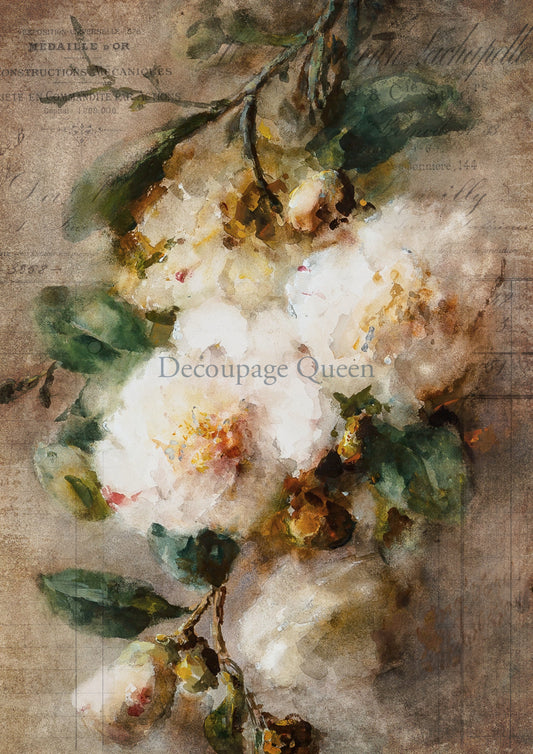 Queen Camelia Pack by Decoupage Queen