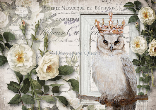 Wise Friend by Decoupage Queen
