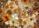 Decoupage Queen Pressed Autumn Flowers