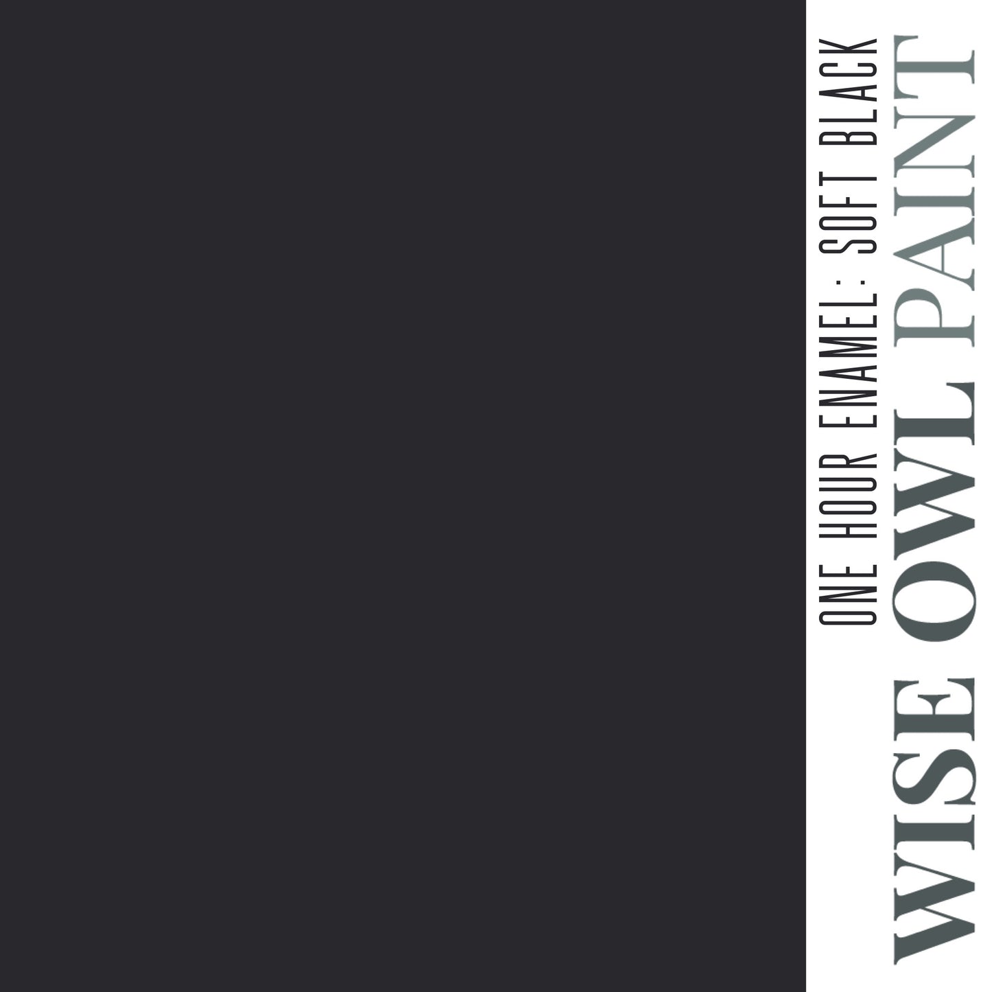 One Hour Enamel Paint, Quarts