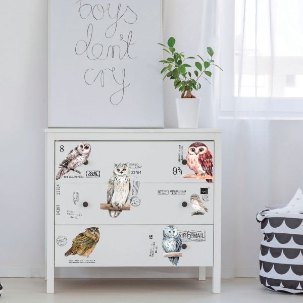 Owl - Rub-On Furniture Decal Mini-Transfer by Redesign with Prima!