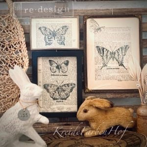 Monarch Collection Decor Stamps! by ReDesign with Prima!