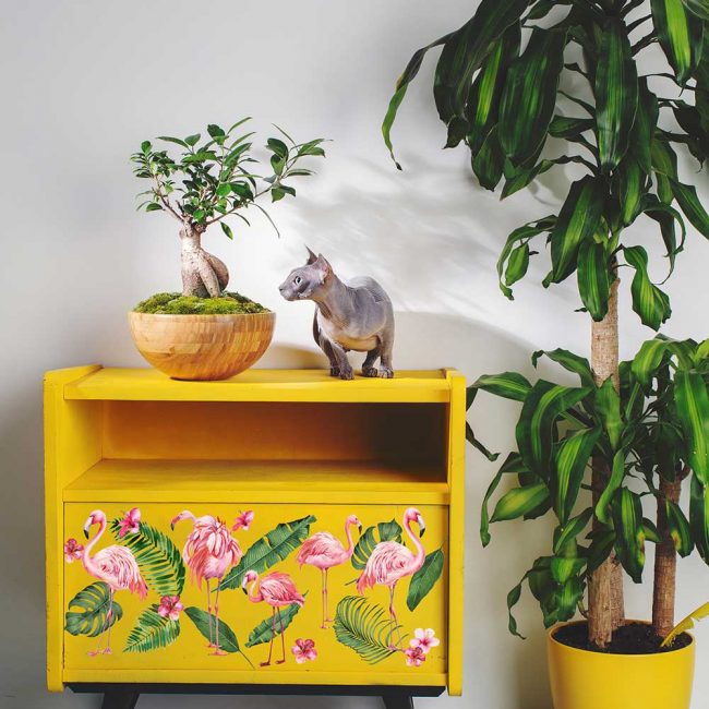 Flamingo Pink - Rub-On Decor Mini-Transfer by Redesign with Prima!