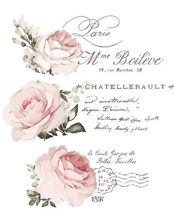 Chatellerault Rose - Rub-On Furniture Decal transfer by redesign with Prima!