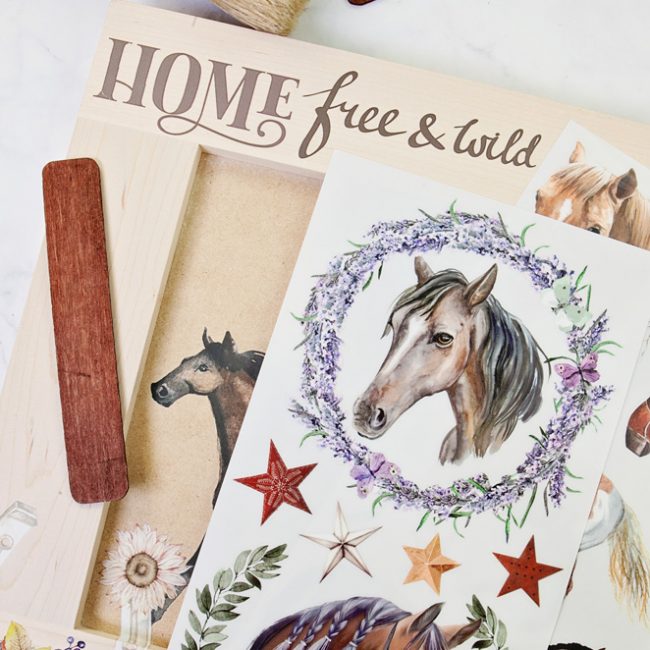 Wild Soul - Rub-On Furniture Decal Mini-Transfer by Redesign with Prima!