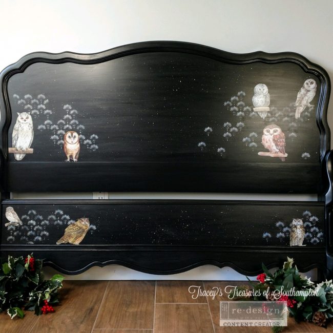Owl - Rub-On Furniture Decal Mini-Transfer by Redesign with Prima!