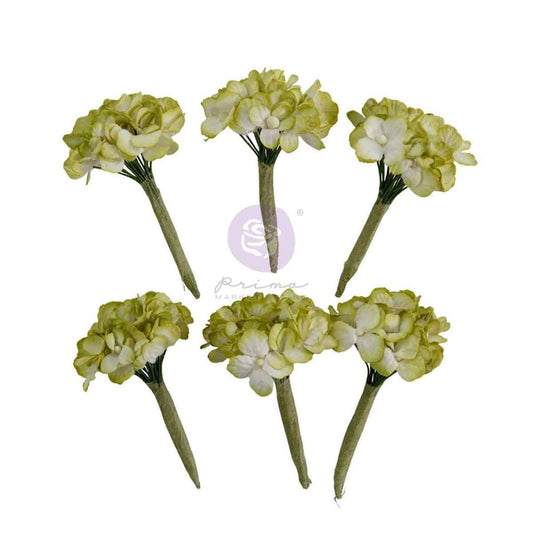 Homegrown Collection Flowers – Garden Hydrangea Mist – 5 pcs