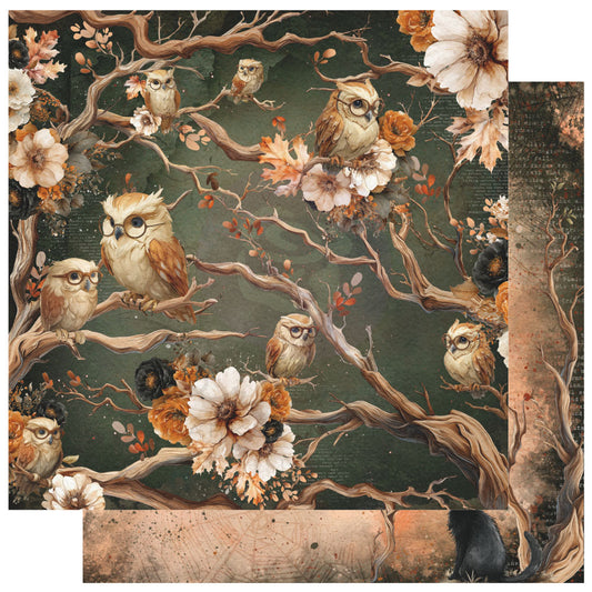 Made of Magic Collection 12×12 Sheet – Keepers of Knowledge – 1 sheet 12″x12″