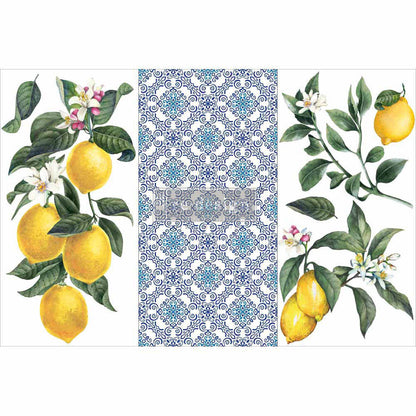 Lemon Tree - Rub-On Furniture Decal Mini-Transfer by Redesign with Prima!