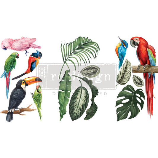 Tropical Birds - Rub-On Decor Mini-Transfer by Redesign with Prima!