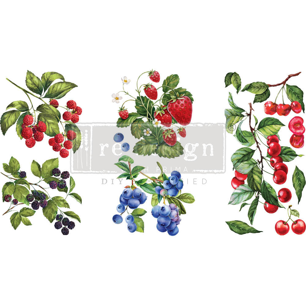Sweet Berries - Rub-On Decor Mini-Transfer by Redesign with Prima!
