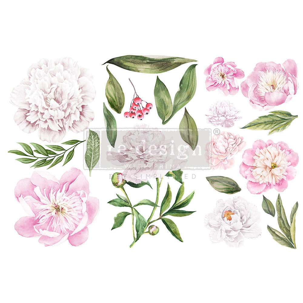 Morning Peonies - Rub-On Furniture Decal Mini-Transfer by Redesign with Prima!